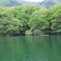 東の横綱 – 相模湖 （秋山川） №5