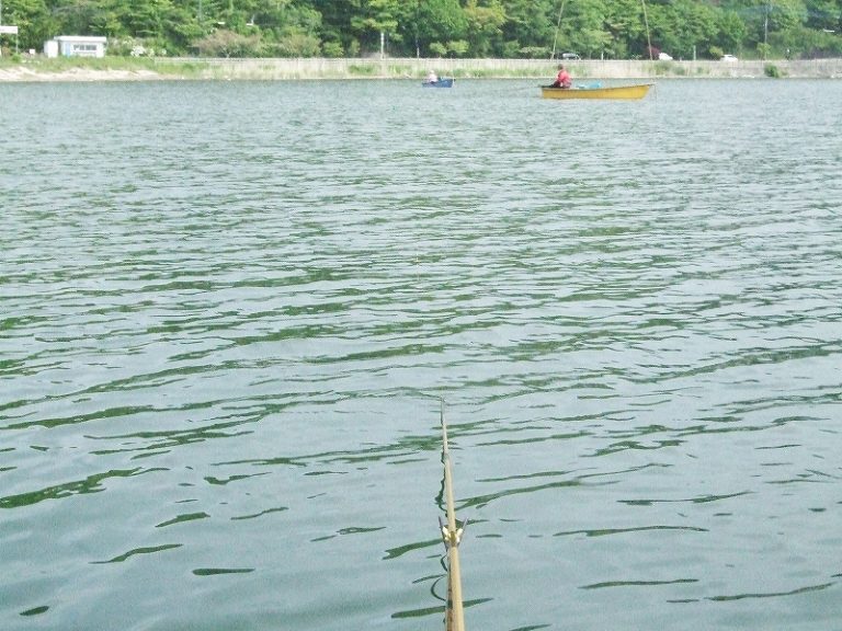 湖面に浮かぶ「浮き」が… No.3