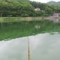 湖面に浮かぶ「浮き」が… No.5