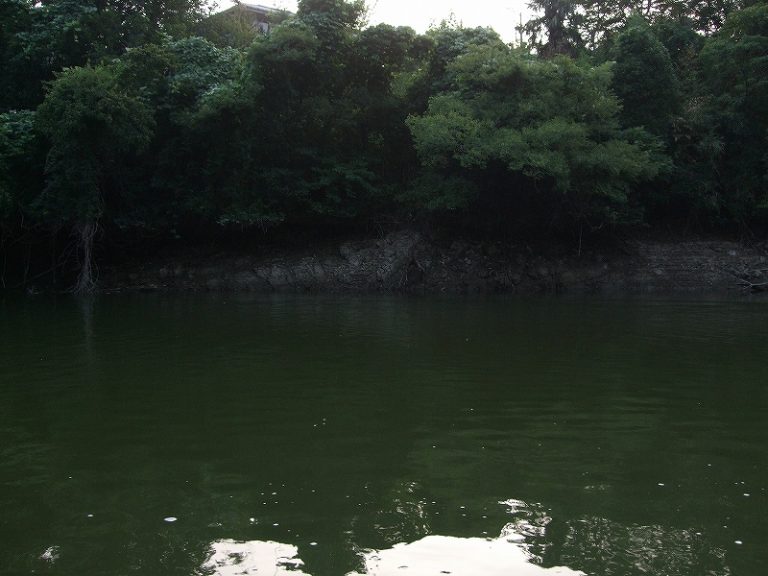 減水中のダム湖は魅力的 No.1