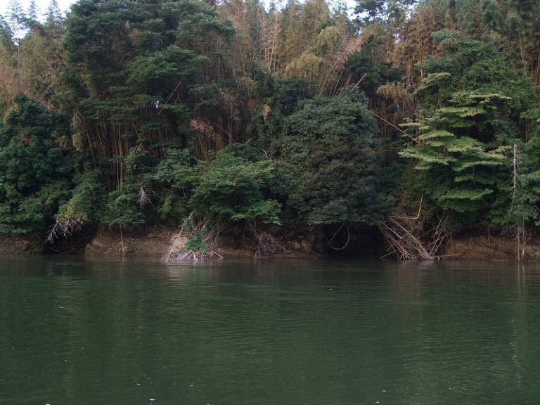 減水中のダム湖は魅力的 No.2