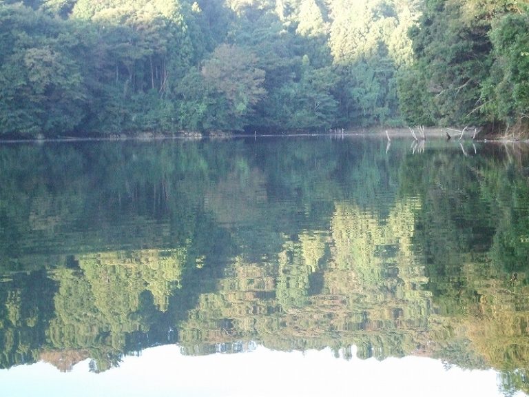 秋のダム湖は魅力的 No.2