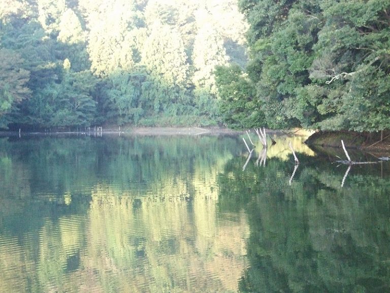 秋のダム湖は魅力的 No.3