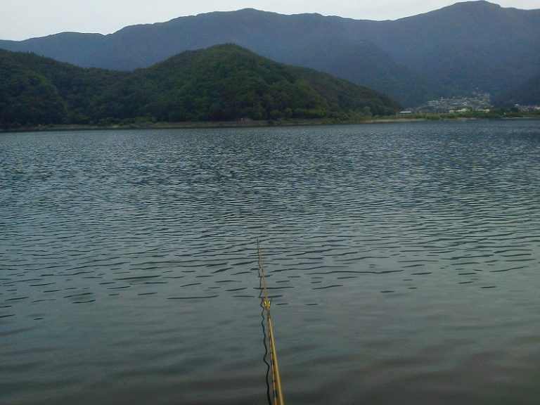 2013年を振り返り… No.4