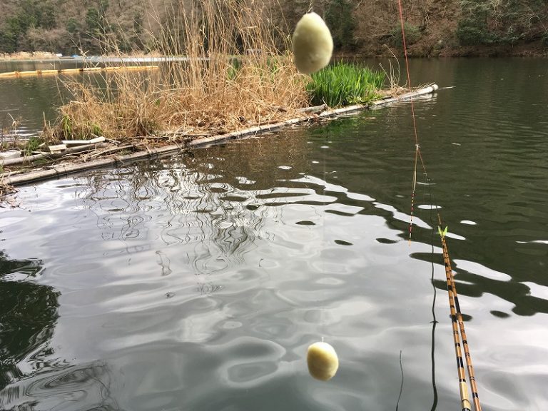 2017年・春先からの釣り場 No.6