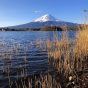 水位が低い河口湖