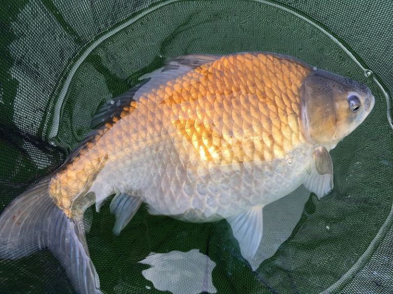 釣り場の情報に付いて思う事・その3