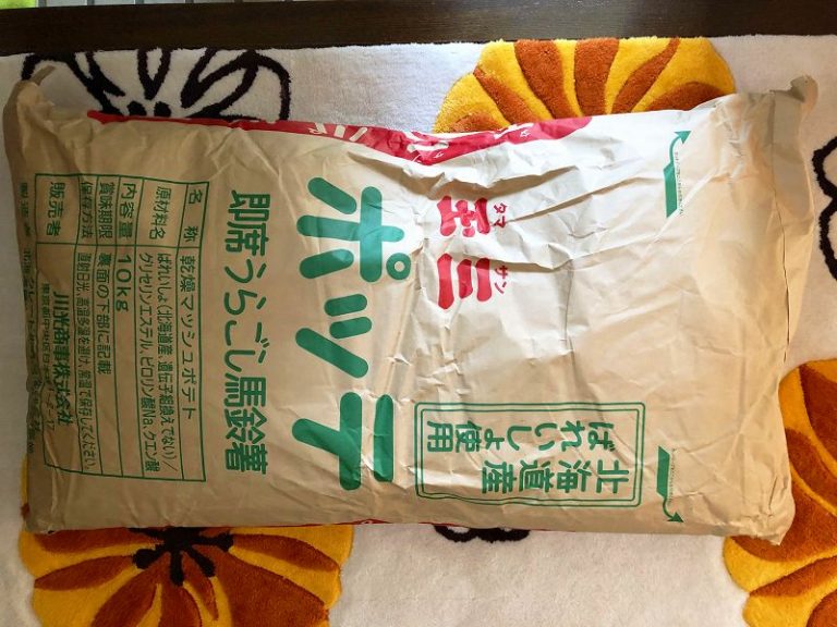 マッシュを大量購入してもね～